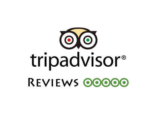 rsz_tripadvisor-reviews_option_1